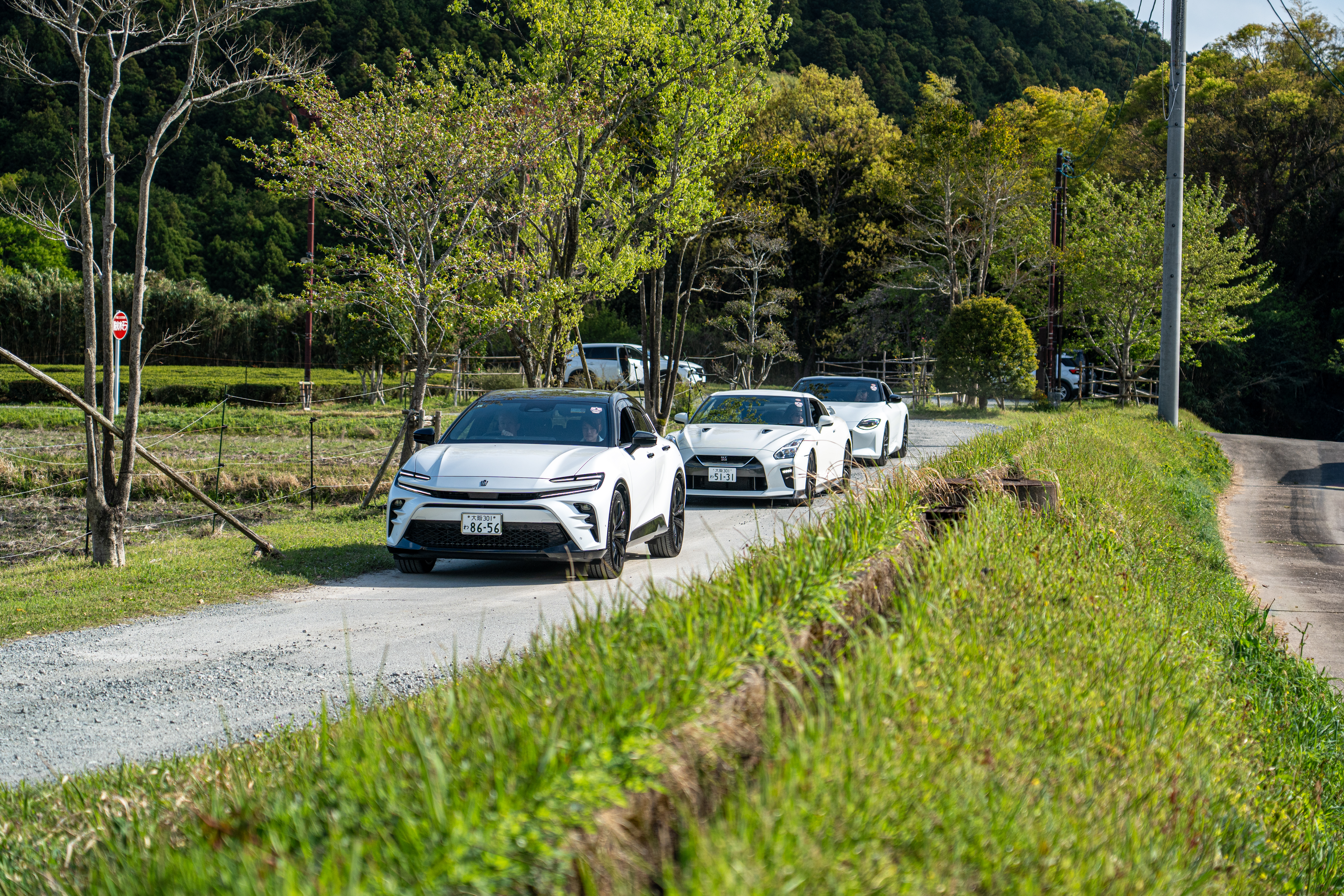 三車田野