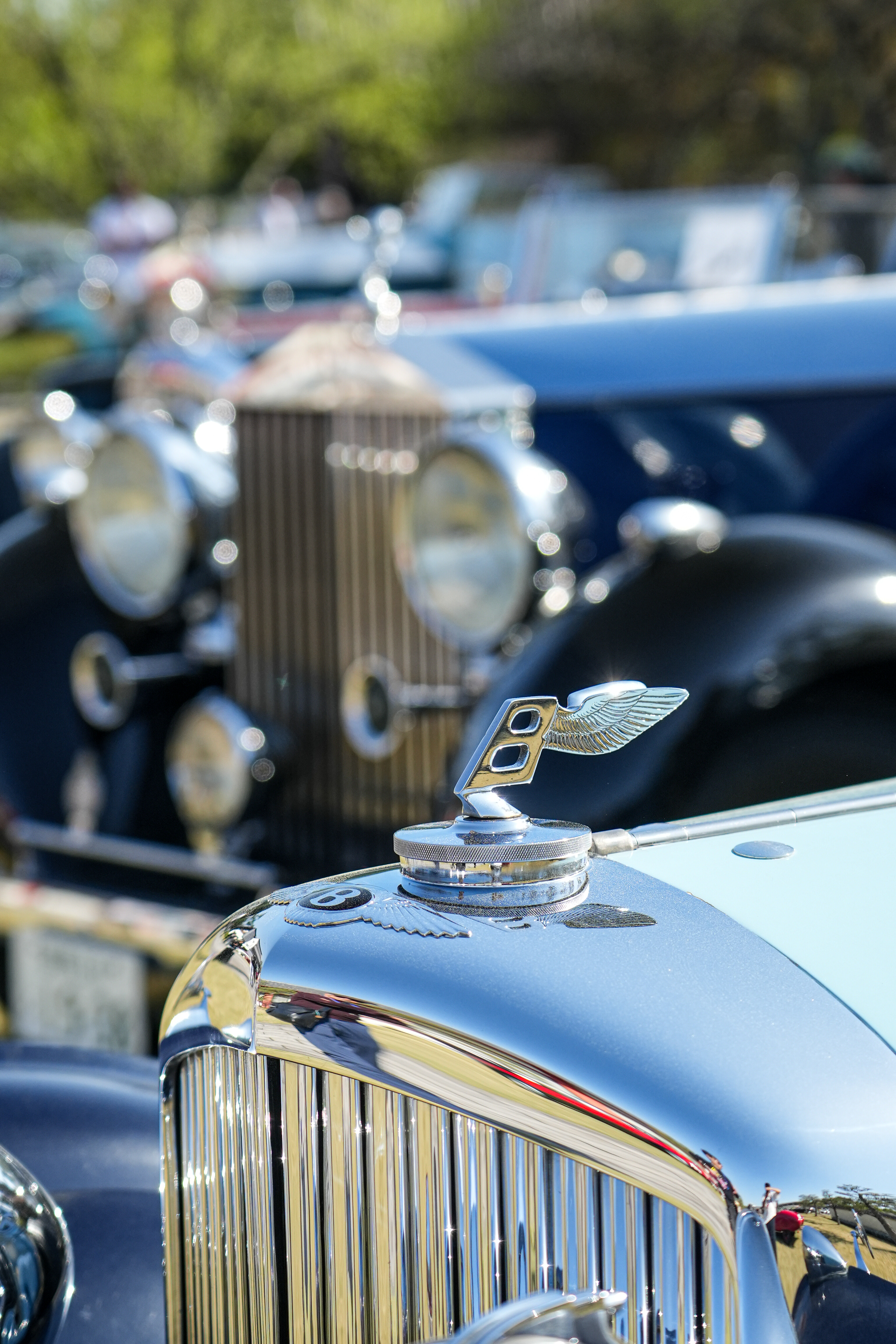 Bentley 展翼廠徽特寫